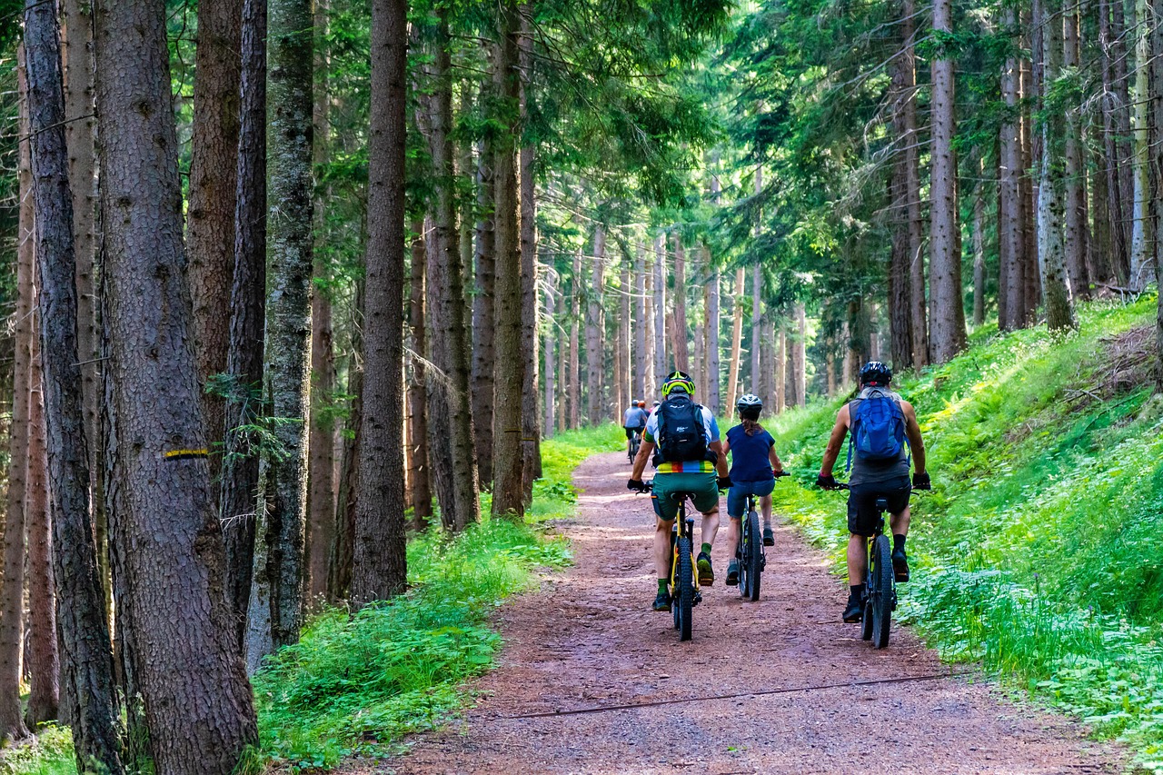 Blog - And we all got on our bikes