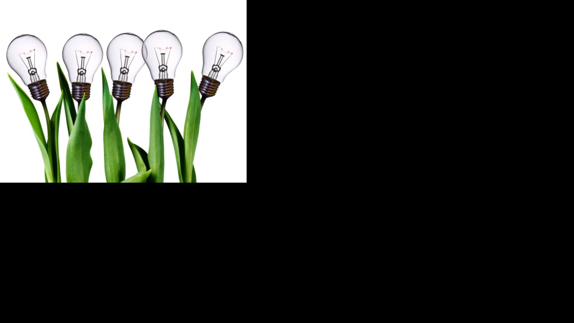 Blog - The Keys to Better Decisions